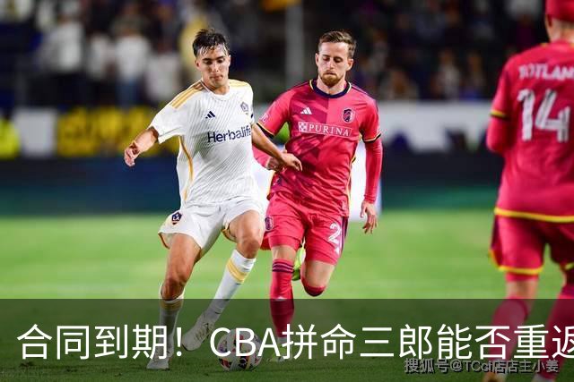 合同到期！CBA拼命三郎能否重返广东？期待辅佐徐杰、胡明轩